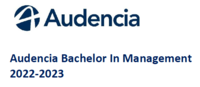 audencia bannière