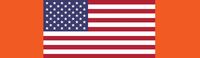 building bridge usa